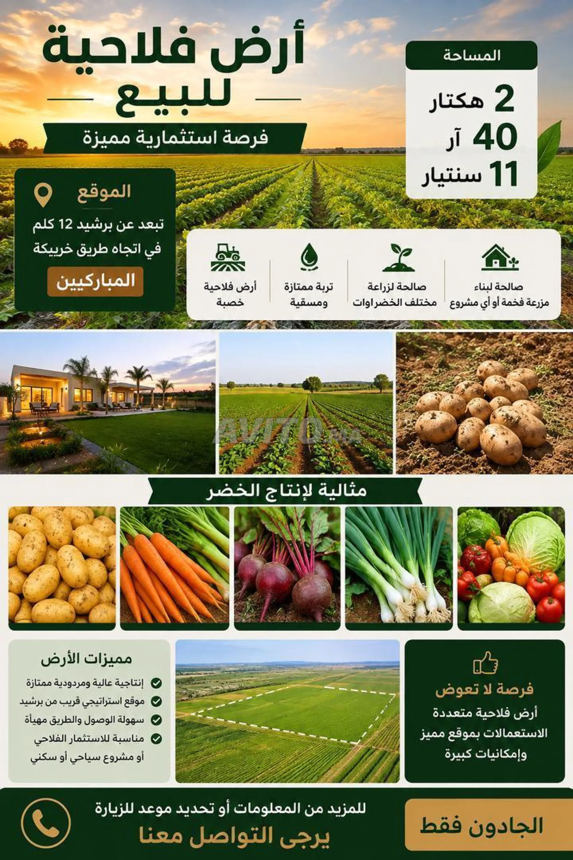 أرض فلاحية استثمارية استثنائية في ضواحي برشيد