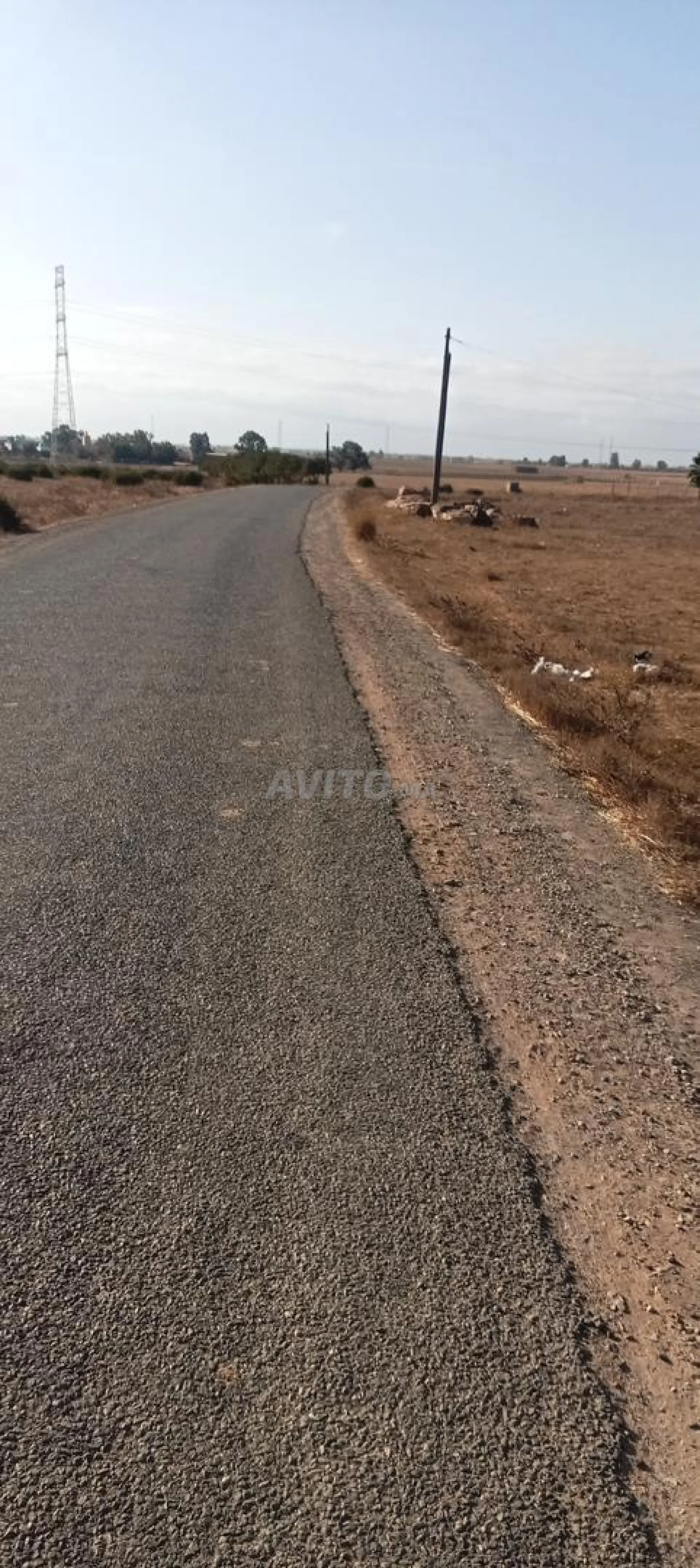 أرض فلاحية على الطريق