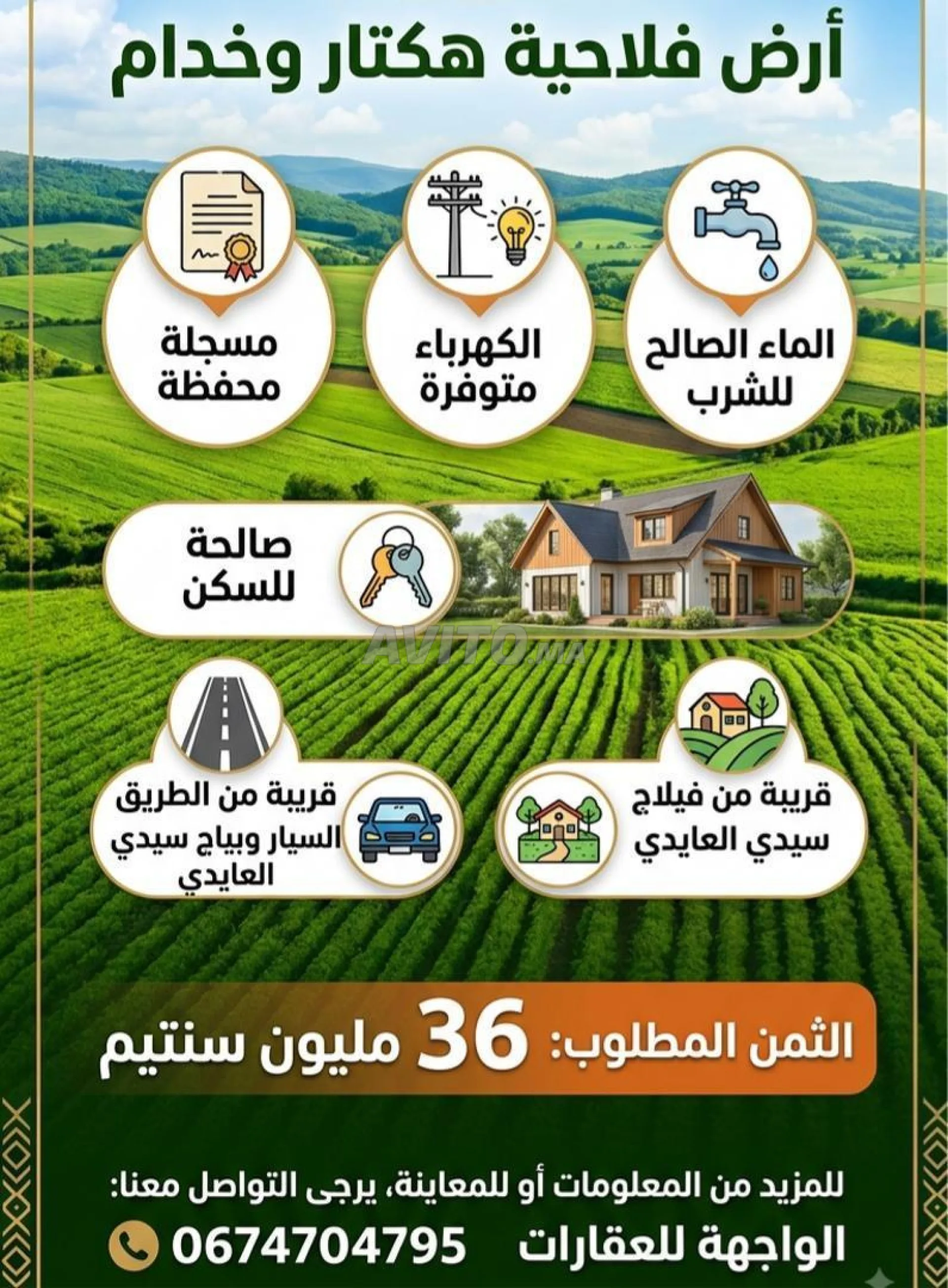 أرض فلاحية بمساحة هكتار واحد وربع، صالحة للبناء