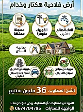 أرض فلاحية بمساحة هكتار واحد وربع، صالحة للبناء