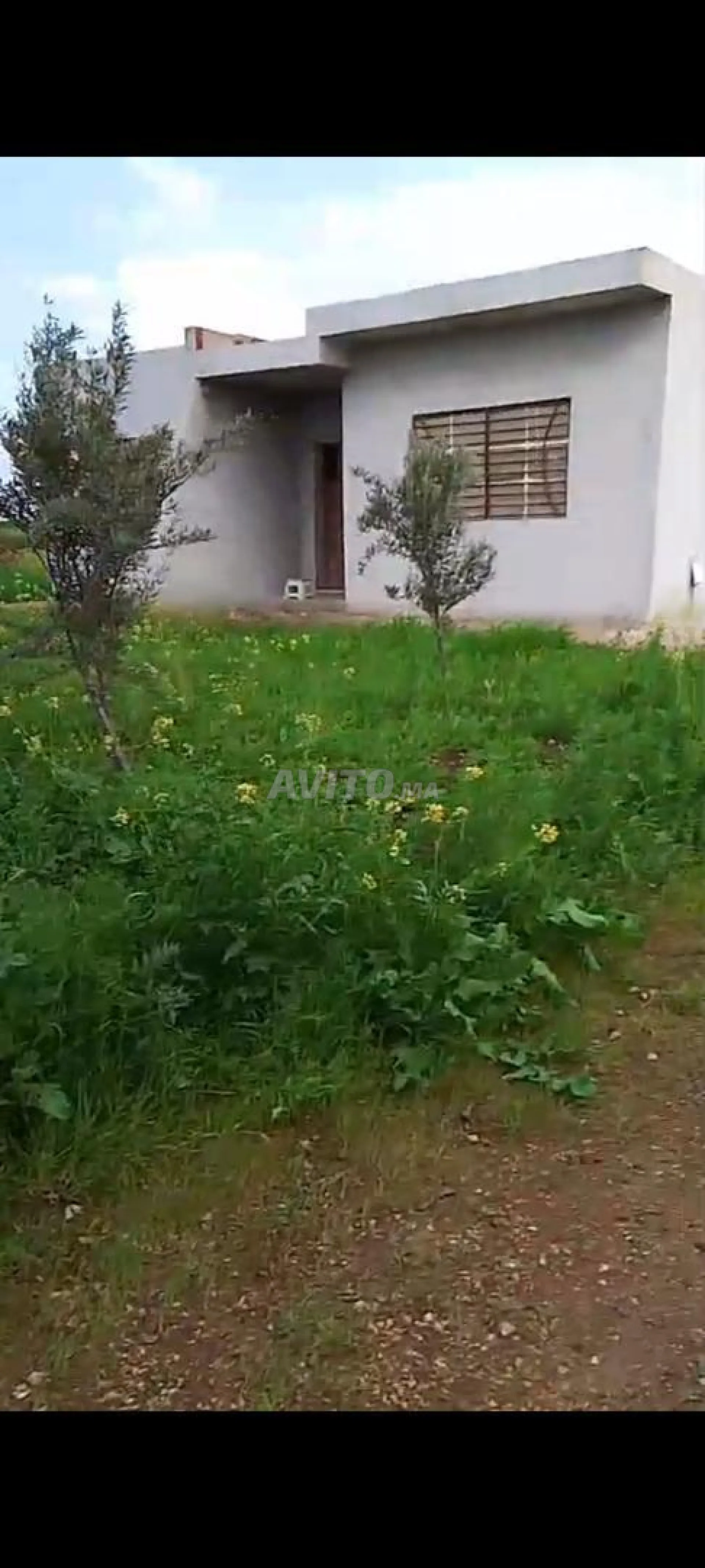 مزرعة على طريق مراكش