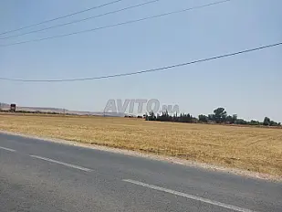 أرض على الطريق الثانوية بين جماعة أرياح ومدينة موديون