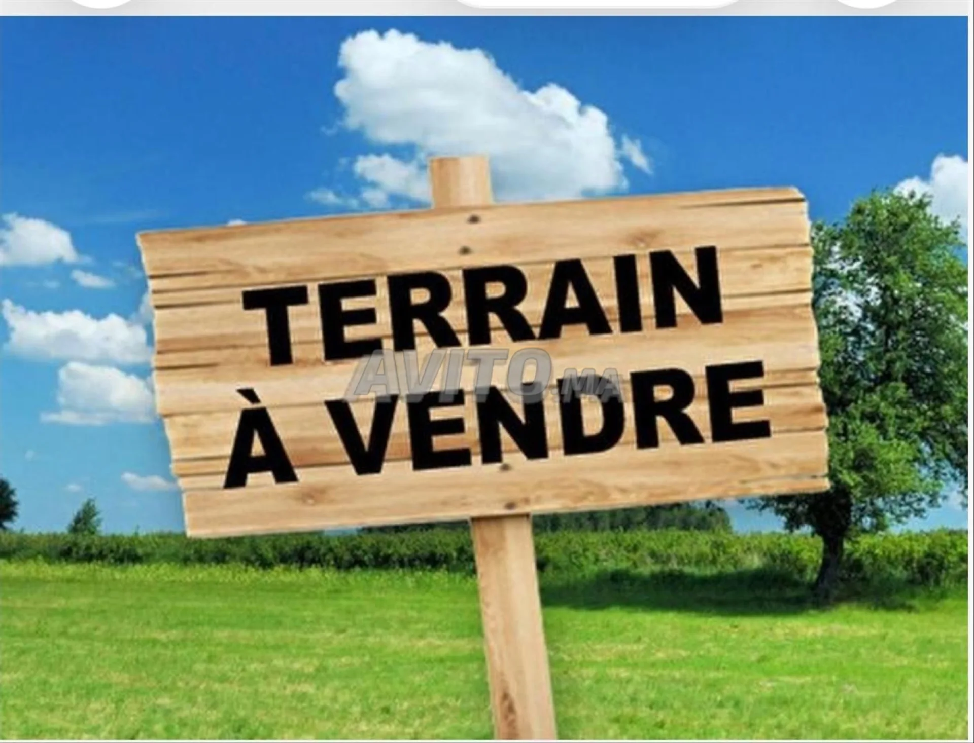 Terrain à vendre m147