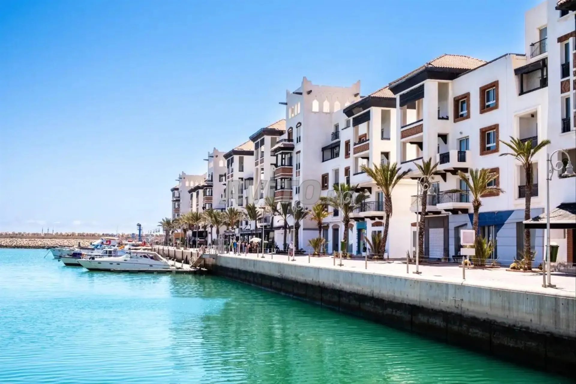 Locall àloé marina lapisin apartss