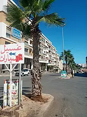 Magasin à louer - Errahma