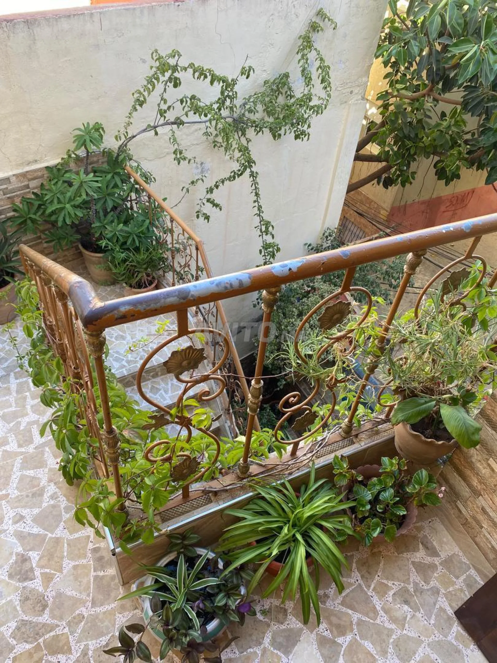 Appartement à louer à M'Diq - Appartements à louer M'Diq