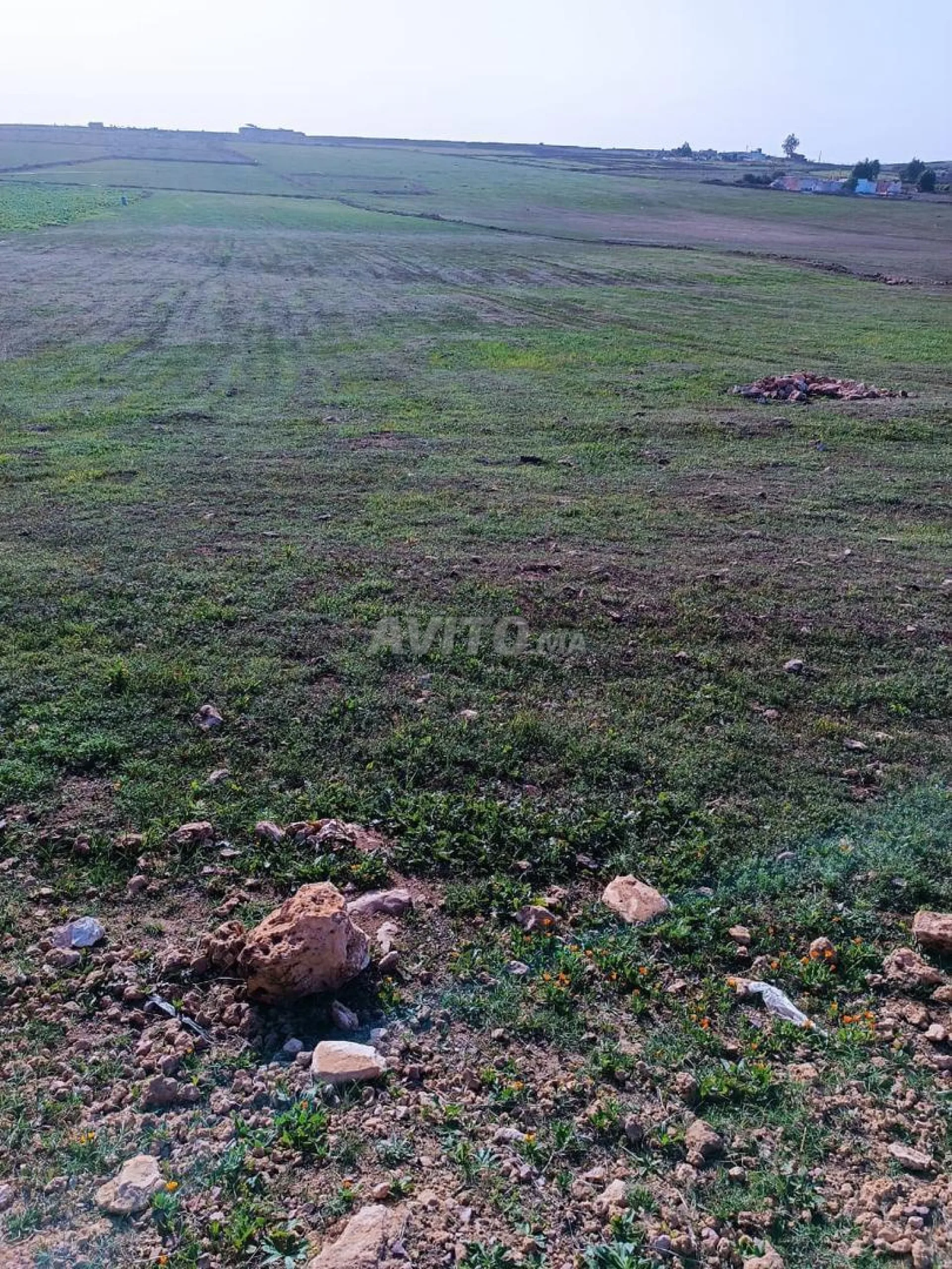 قطعة أرض فلاحية محررة 14200م2 مع بئر