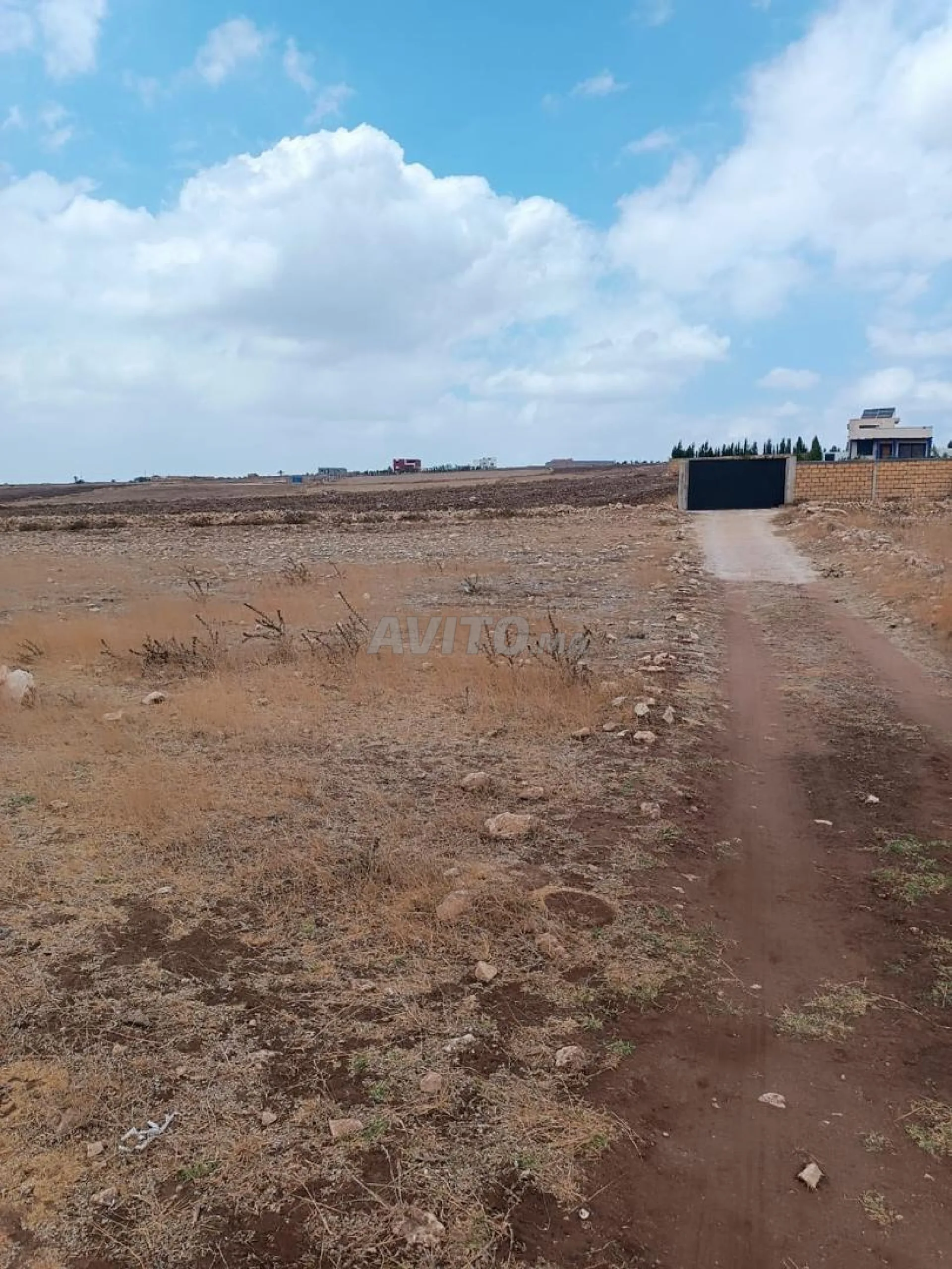 قطعة أرضية فلاحية بعقد ملكية (تitre فونسيي) بمساحة 2929 متر مربع