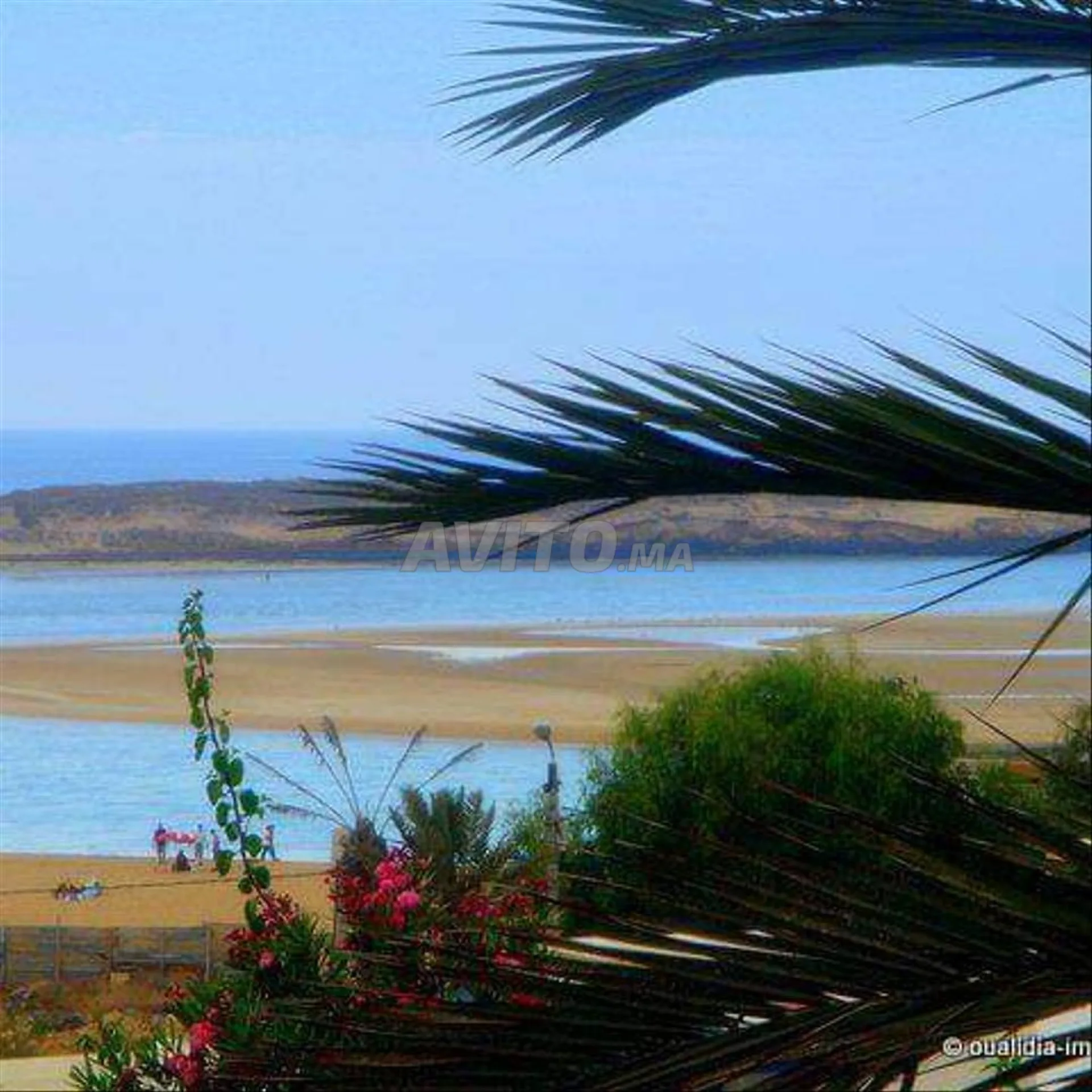 Maisons à louer à la journée sur la plage à Oualidia