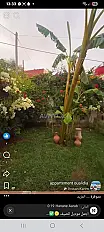 El Oualidia Chebokat