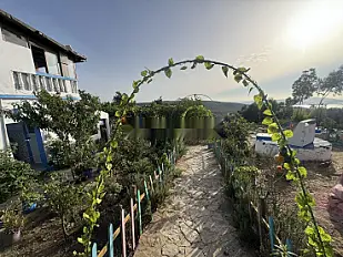 Studio location vacances à nouinouich ain zitouna