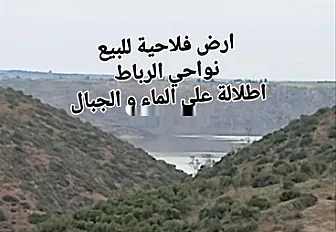 قطعة أرضية بمساحة 3 هكتارات لفيلا بمساحة 600 متر مربع منطقة المنزه