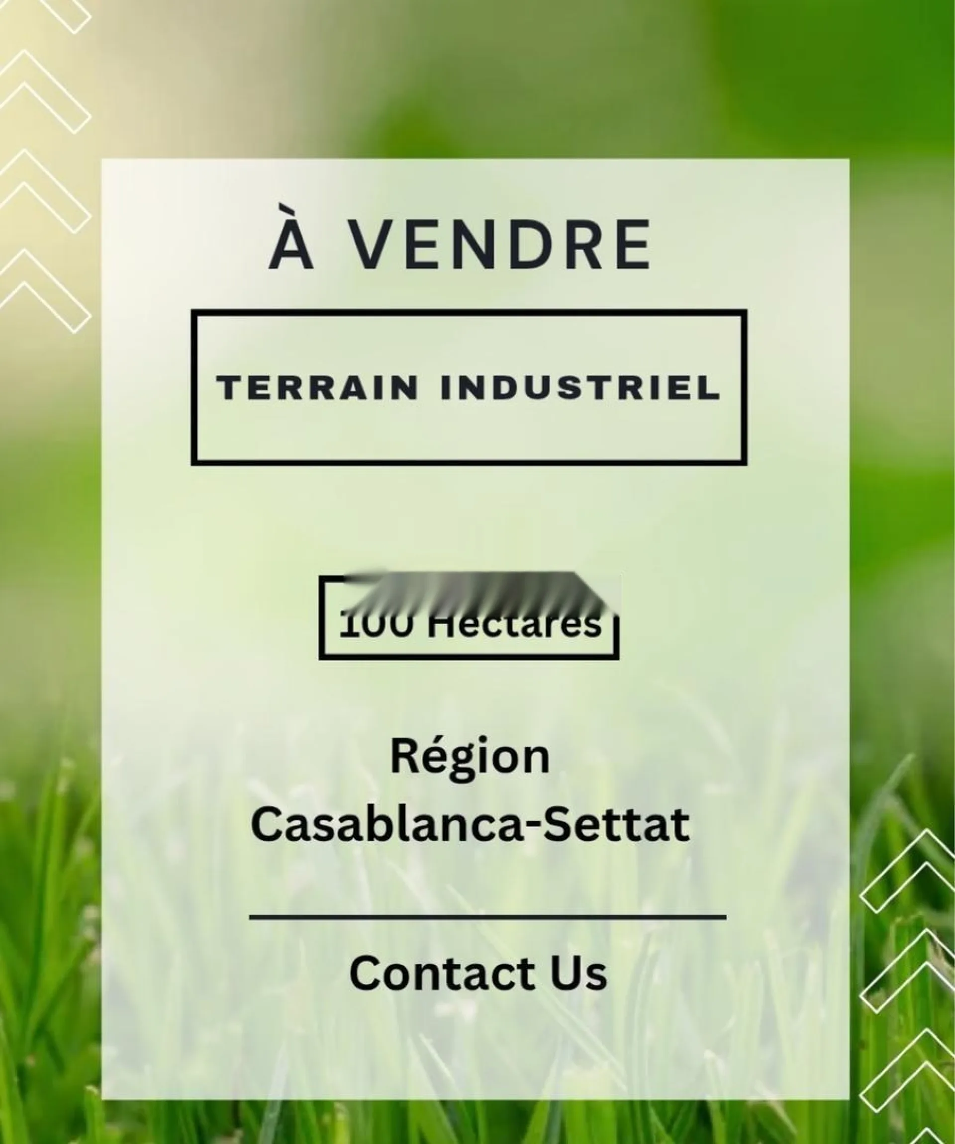 Terrain industriel à vendre sur settat