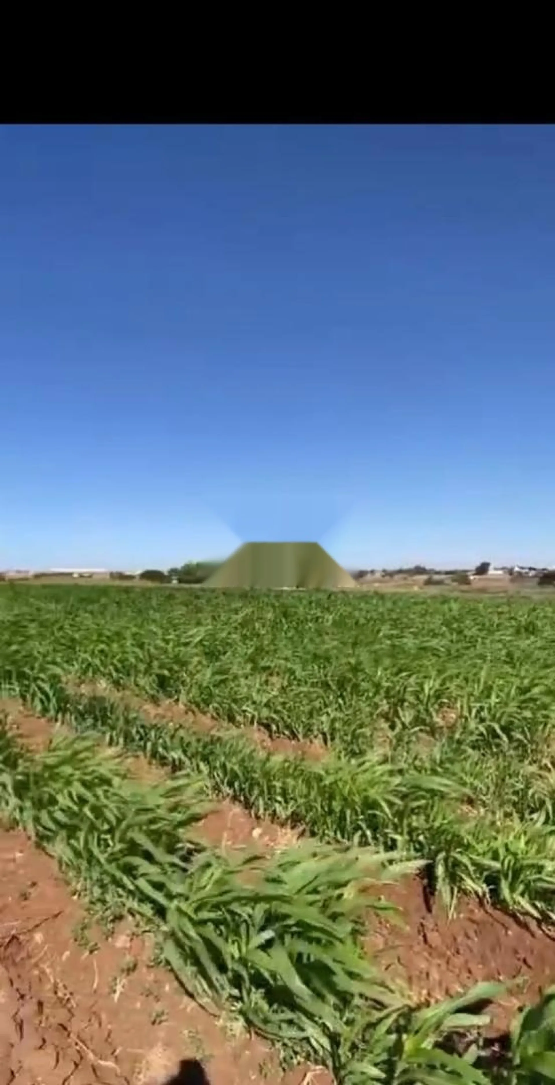 Terrain agricole à vendre