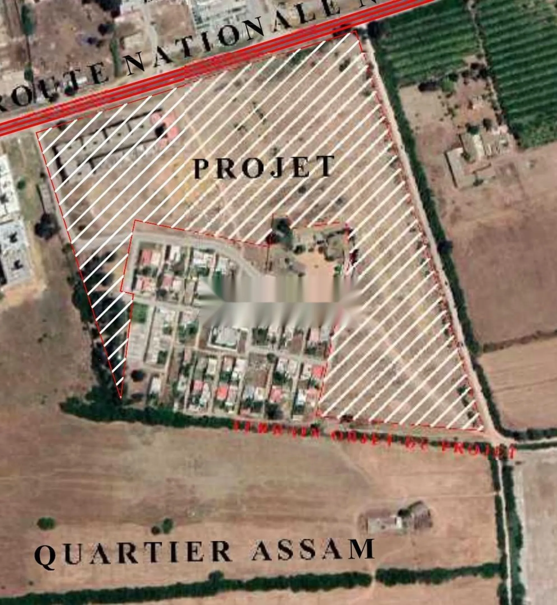 10 hectares Assam Kénitra