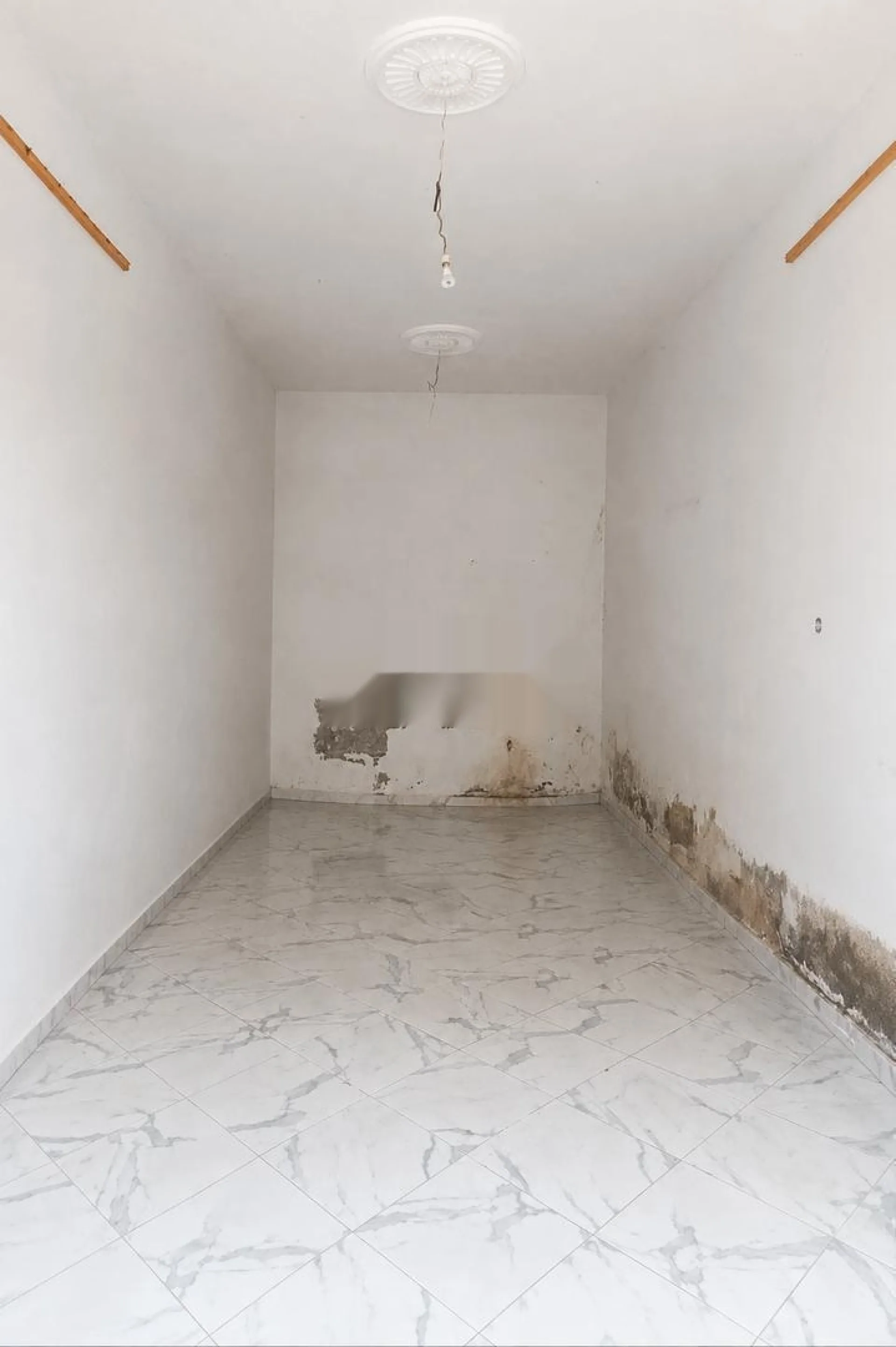 Local commercial Maghreb Arabe route Takwin