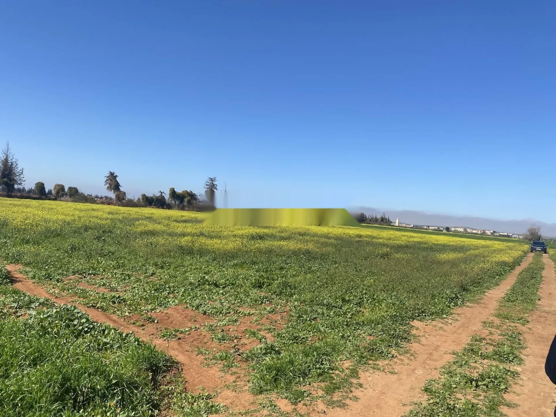 vente de terrain agricole 4780 m2 à Berkane