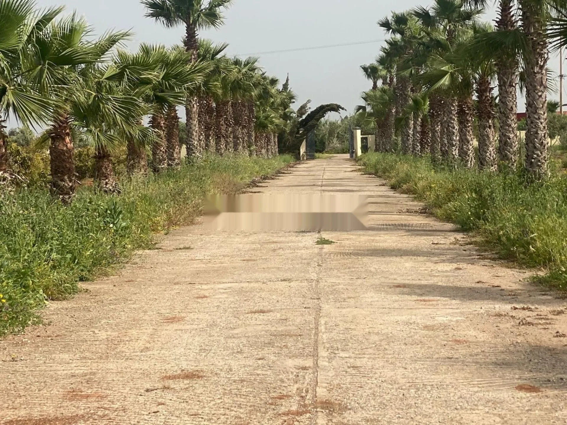 Superbe Terrain Agricole avec Maison à Bouznika