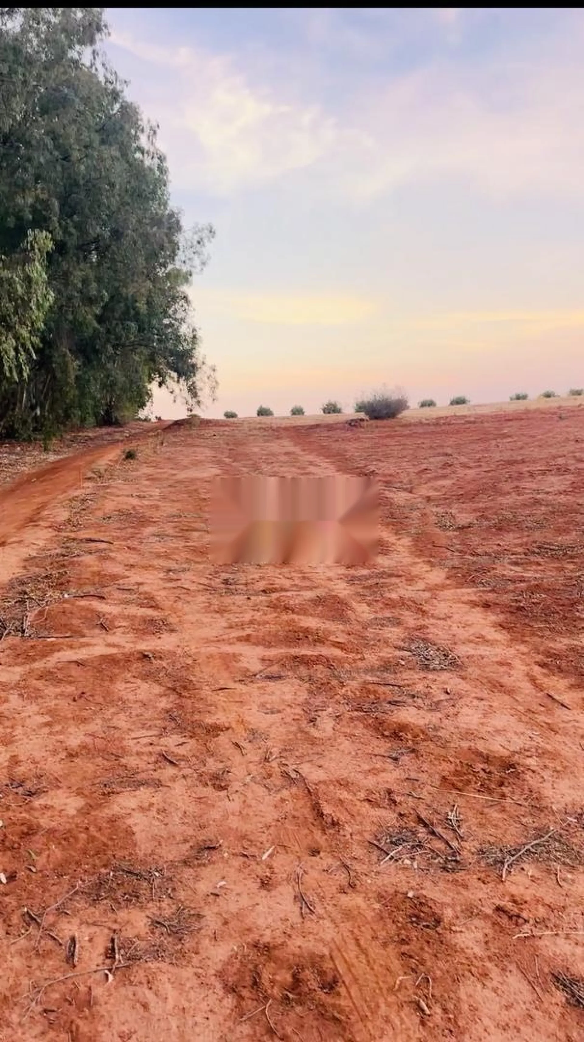 قطعة أرضية بمساحة 1000 متر مع عونيب على بعد 2 كيلومتر من مدينة حمزة