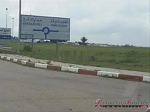 Tnine Chtouka beau terrain à vendre 10000m²