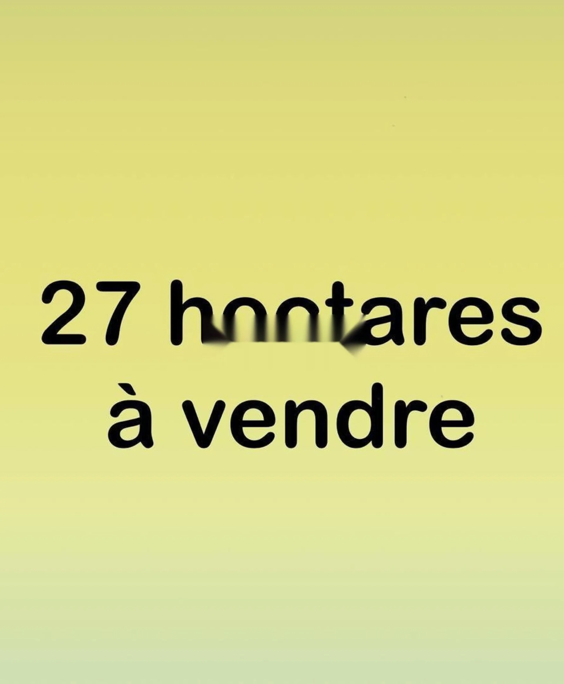 TERRAIN 27 HECTARES À VENDRE