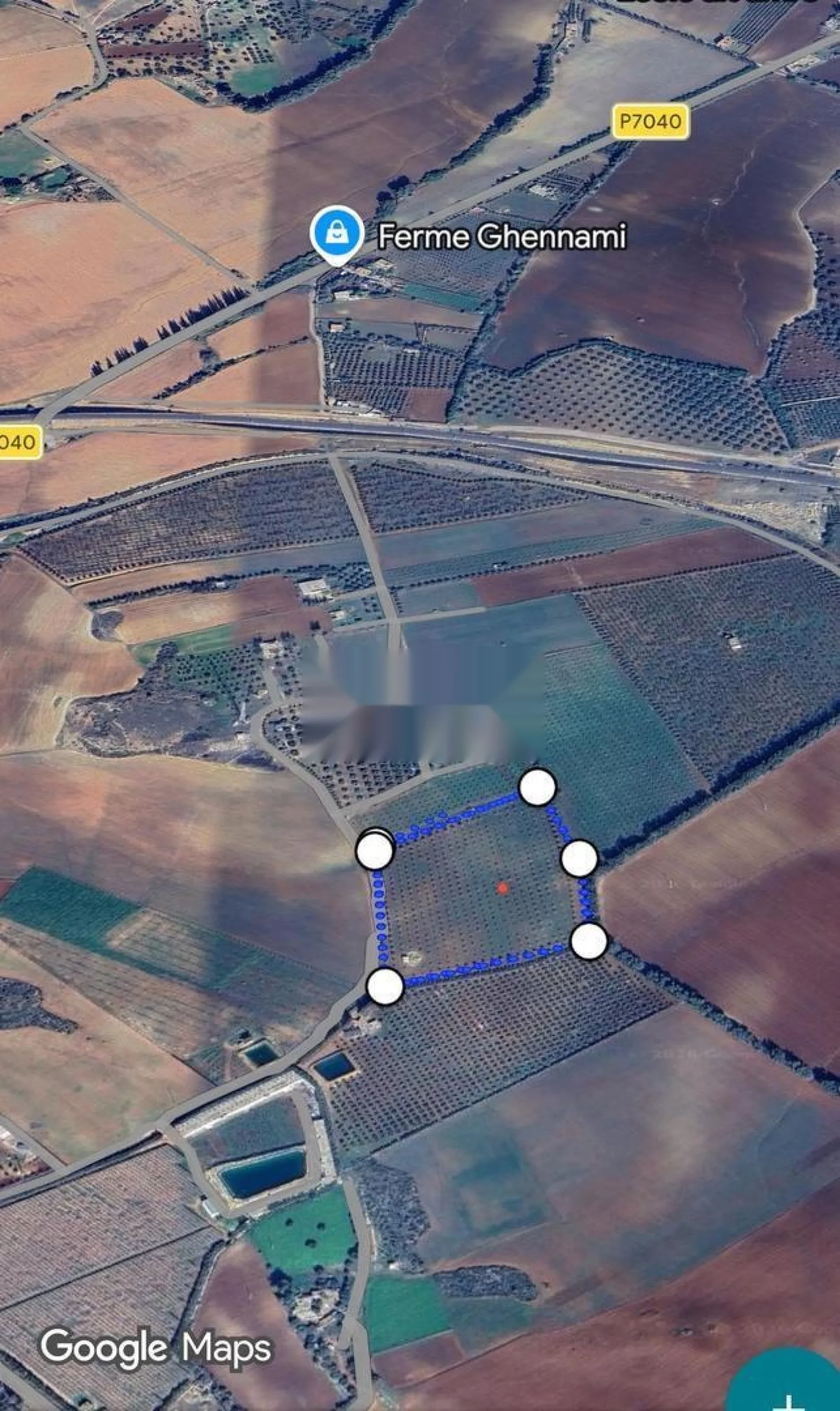 Terrain agricole 3,3 ha