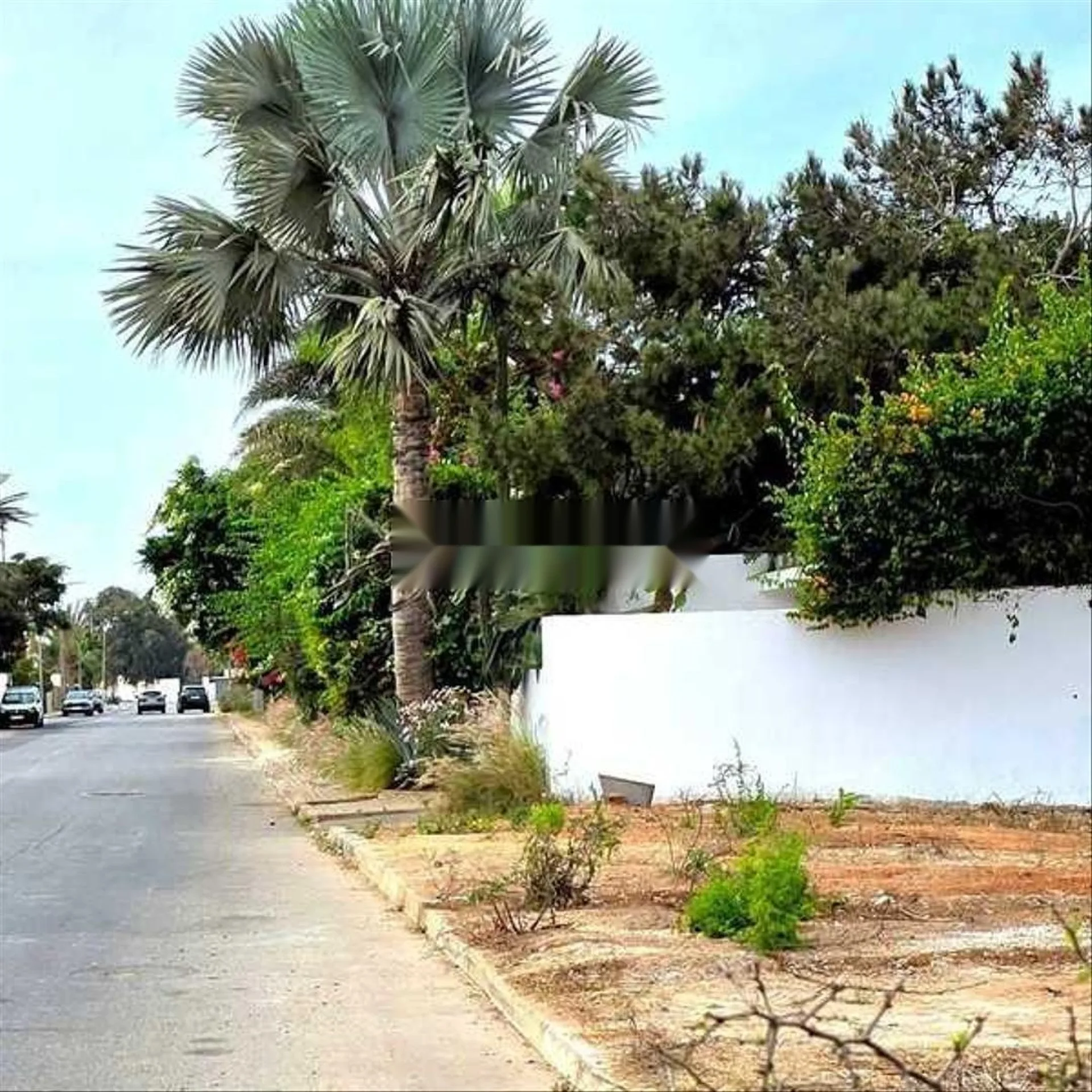 155252-Vente Terrain à Casablanca Ain Diab de 1174