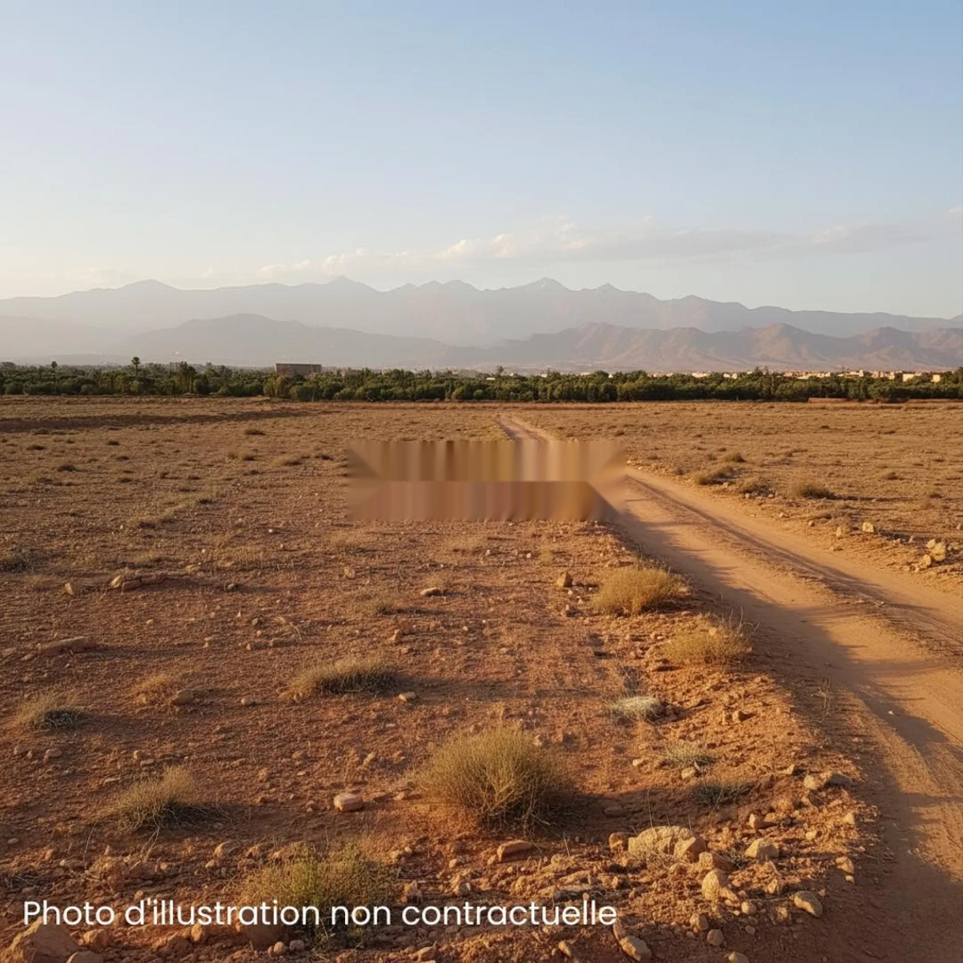 Vente Terrain nu de 20000 m2