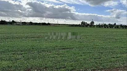 1.92 ha titré à Benslimane Ain Laksab