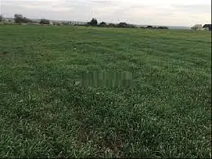 أراضٍ مملوكة بعقود في أزمور للزراعة والسكنى
