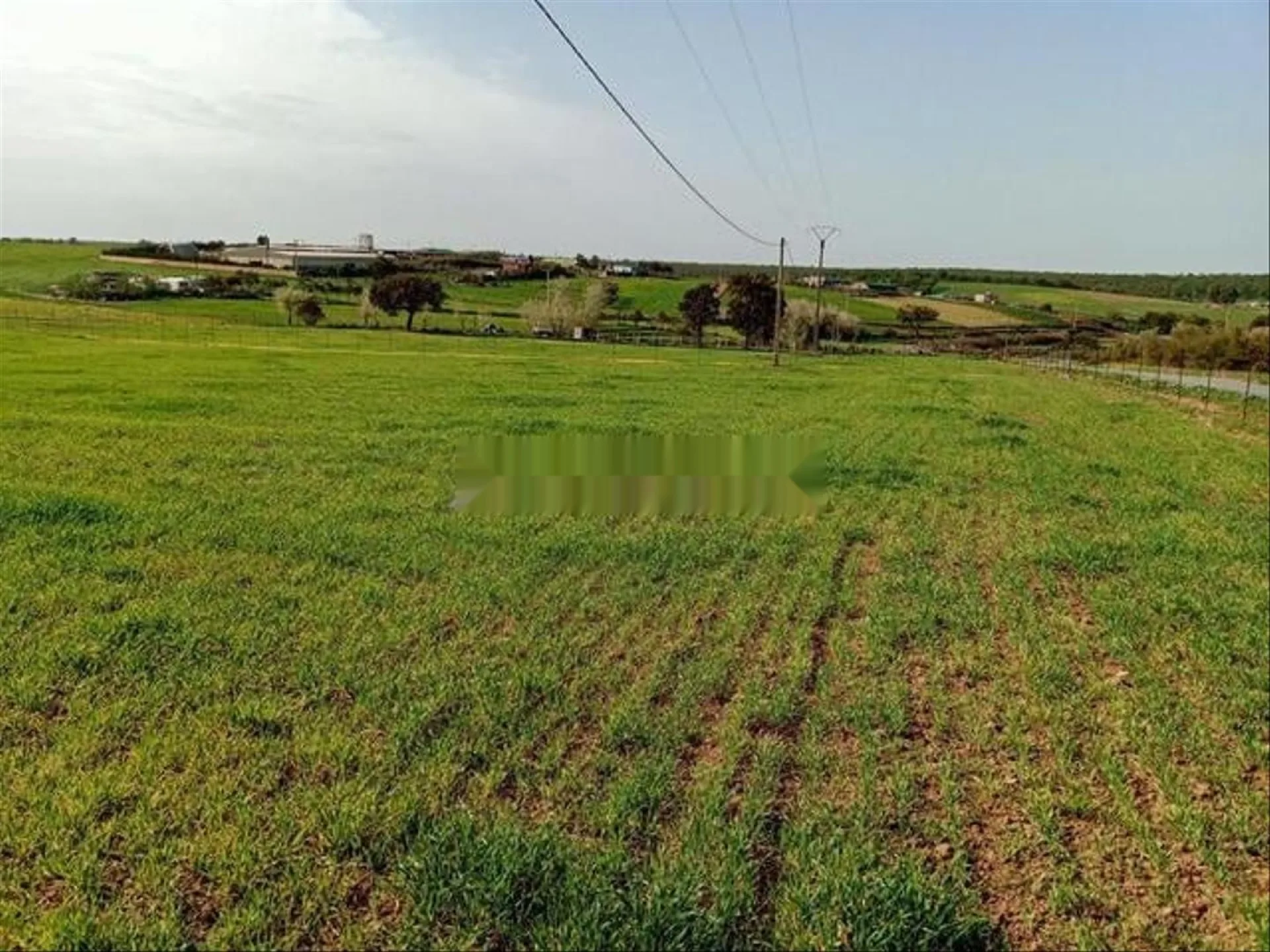 Terrains agricoles enregistrés Bir Jdid pour habitation et investissement