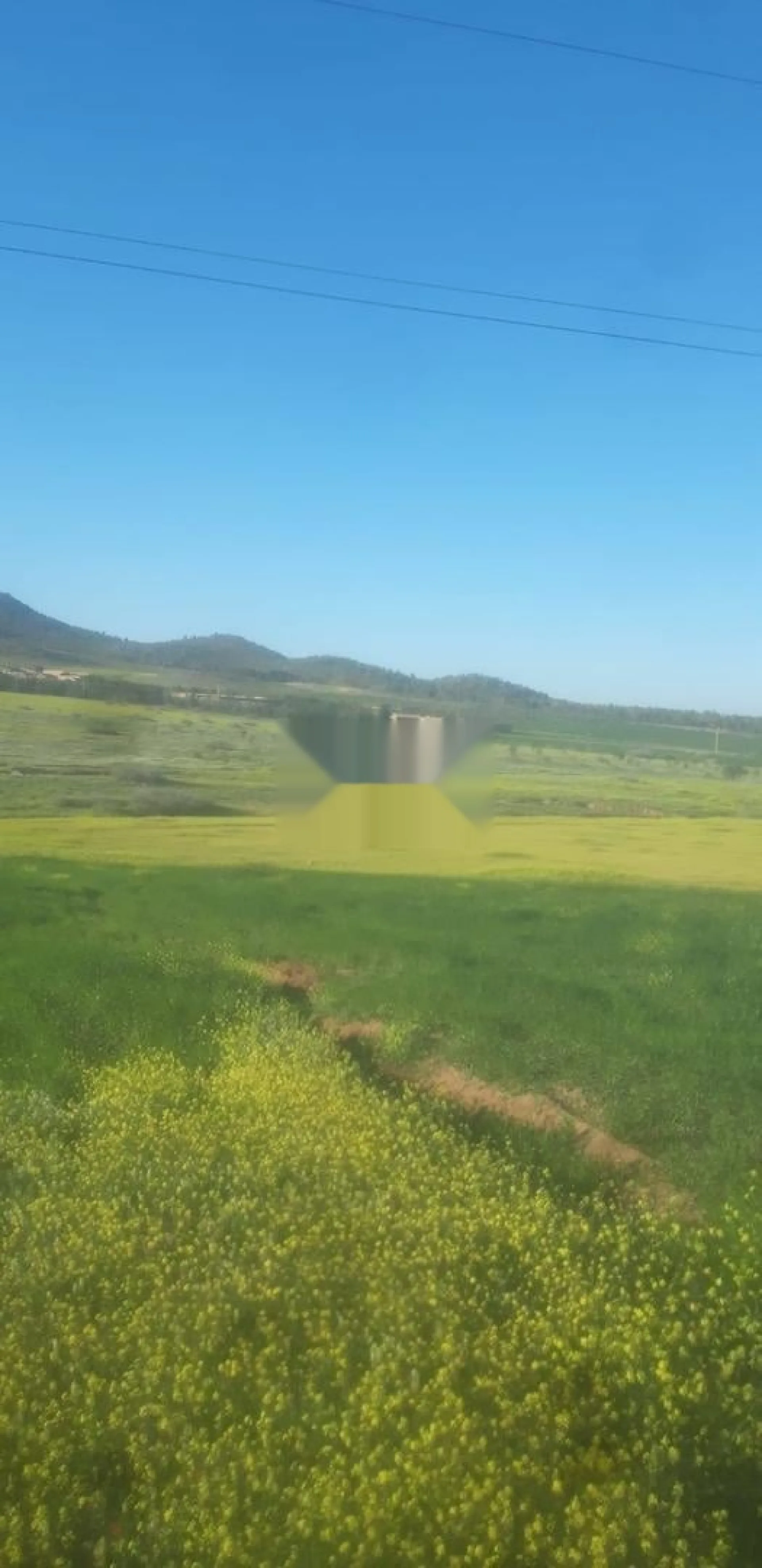 Terrain agricole à vendre 2 hectares moins un quart, titré et enregistré