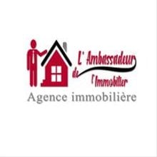 L'AMBASSADEUR DE L'IMMOBILIER