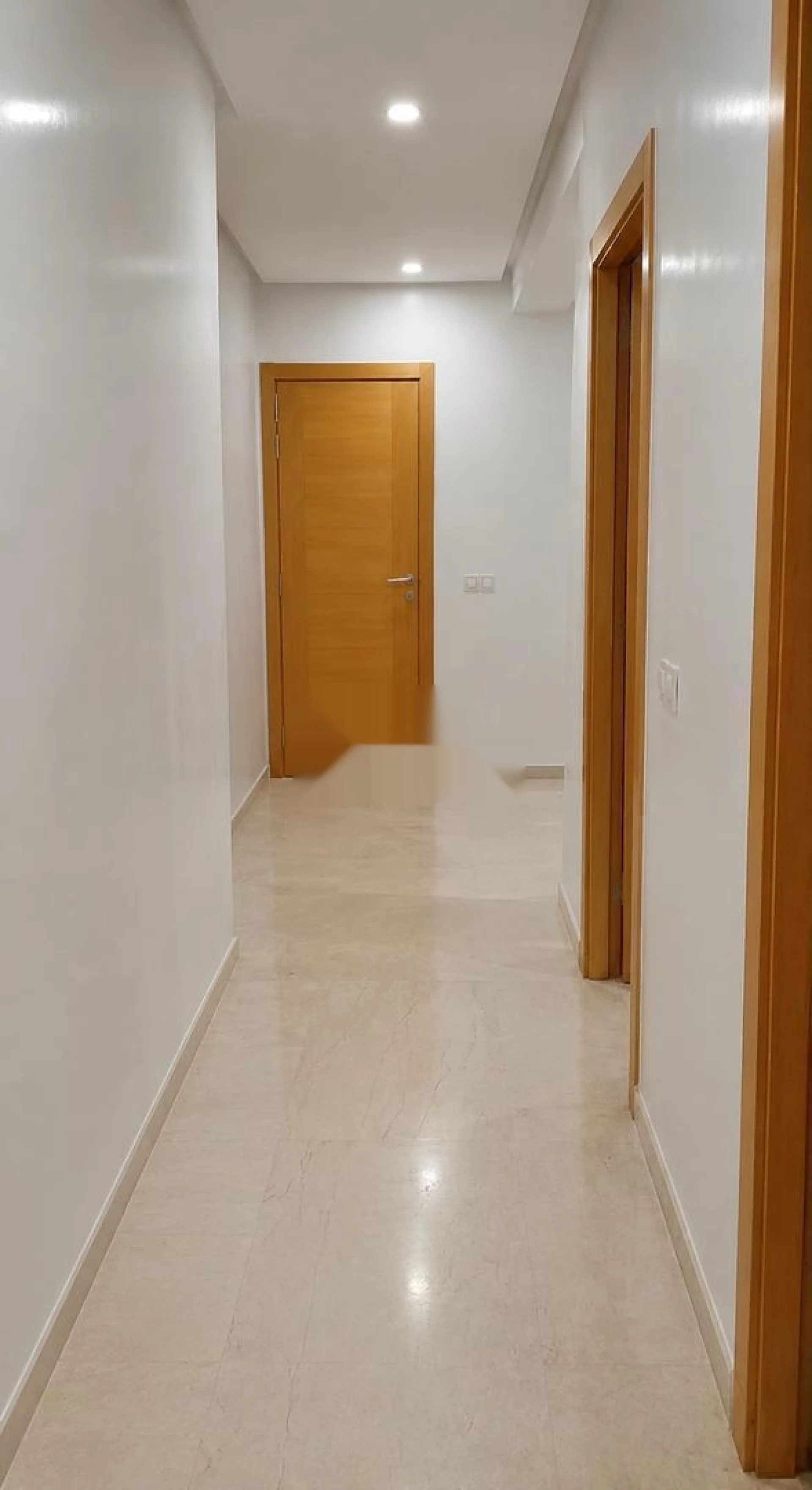 Appartement a vendre