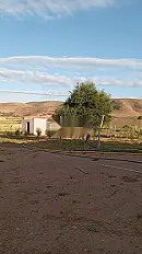 Terrain titré 📞