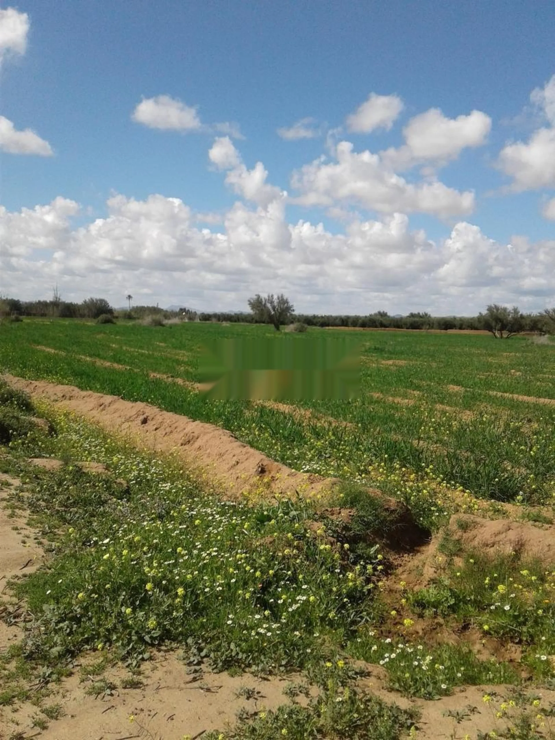 Vente Terrain agricole de 40303 m2