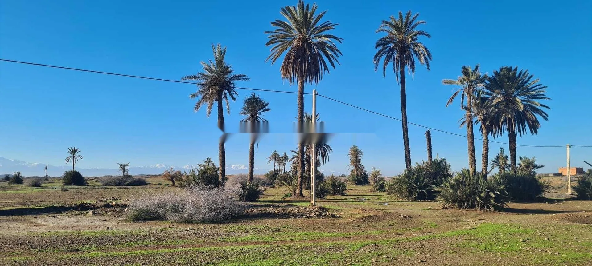 Vente Terrain nu de 22000 m2