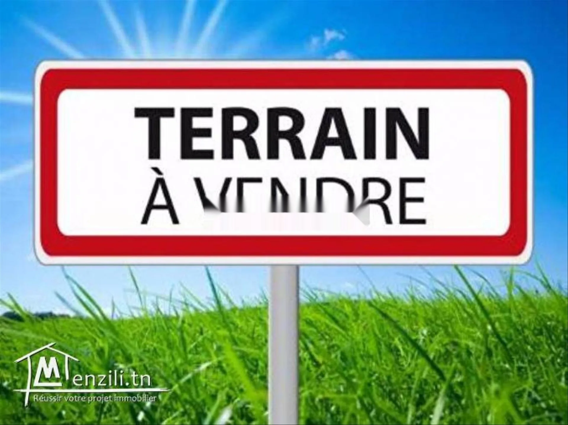 أرض تجارية