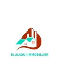 Alaoui immobilier