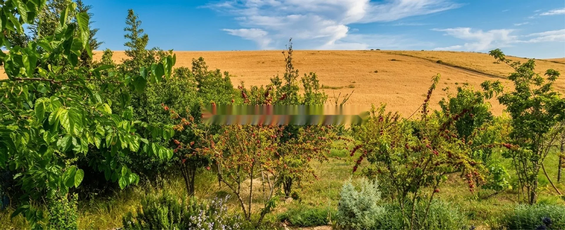 Fermes titrées à vendre à Sehoul (env. Rabat Salé)