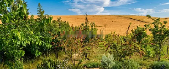 Fermes titrées à vendre à Sehoul (env. Rabat Salé)