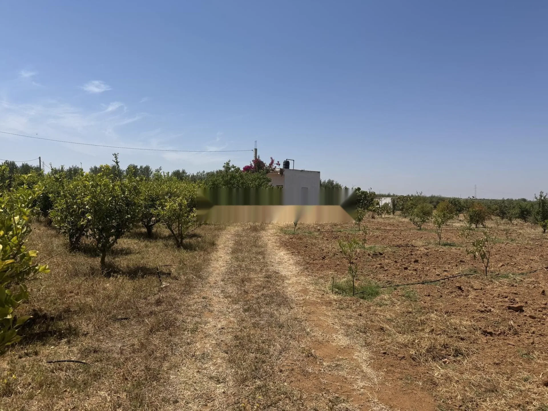 Ferme équipée à vendre