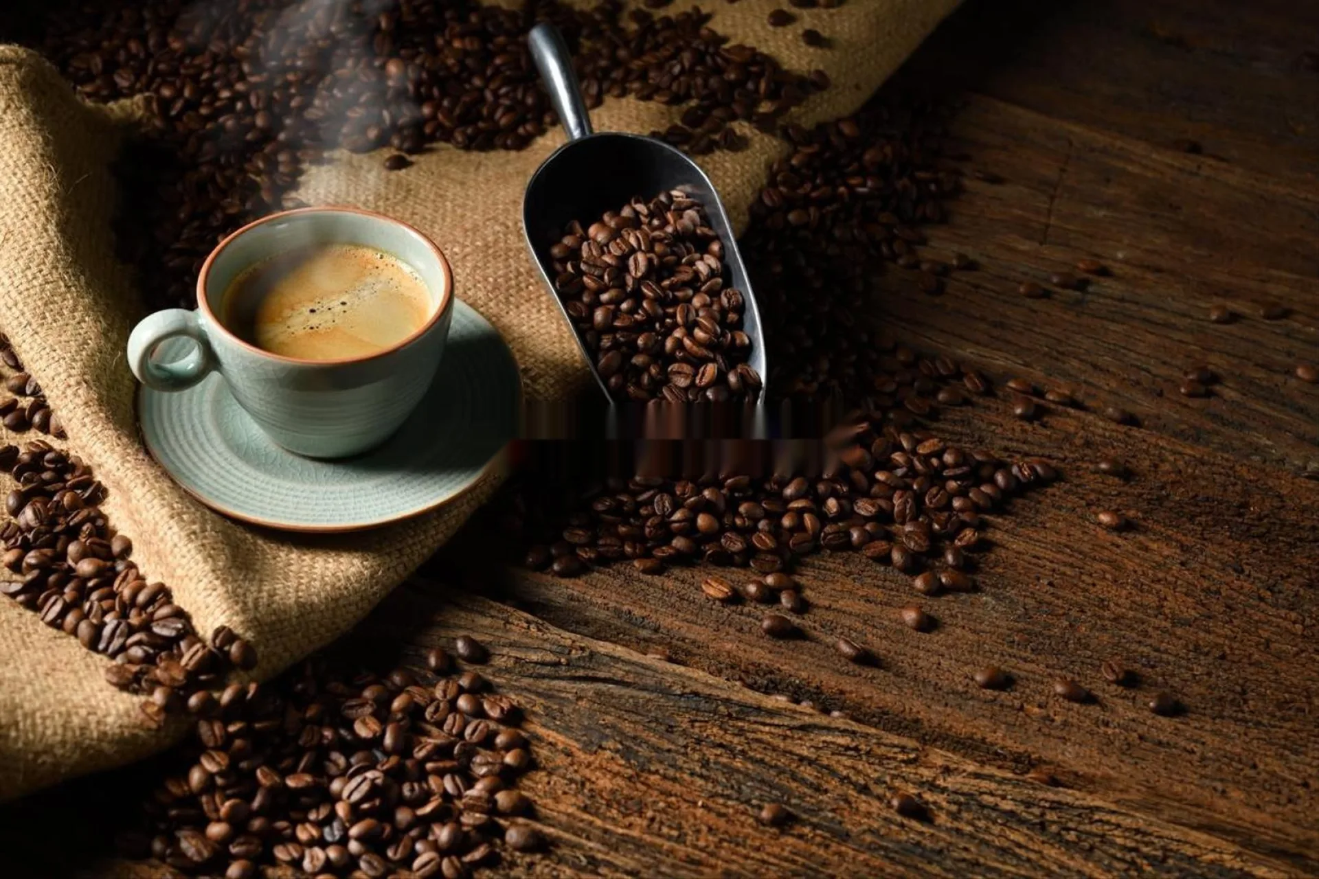 Vente fond et mur d'un café à Marrakech M'Hamid