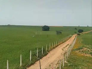 Terrains et fermes titrés, région de Bir Jdid