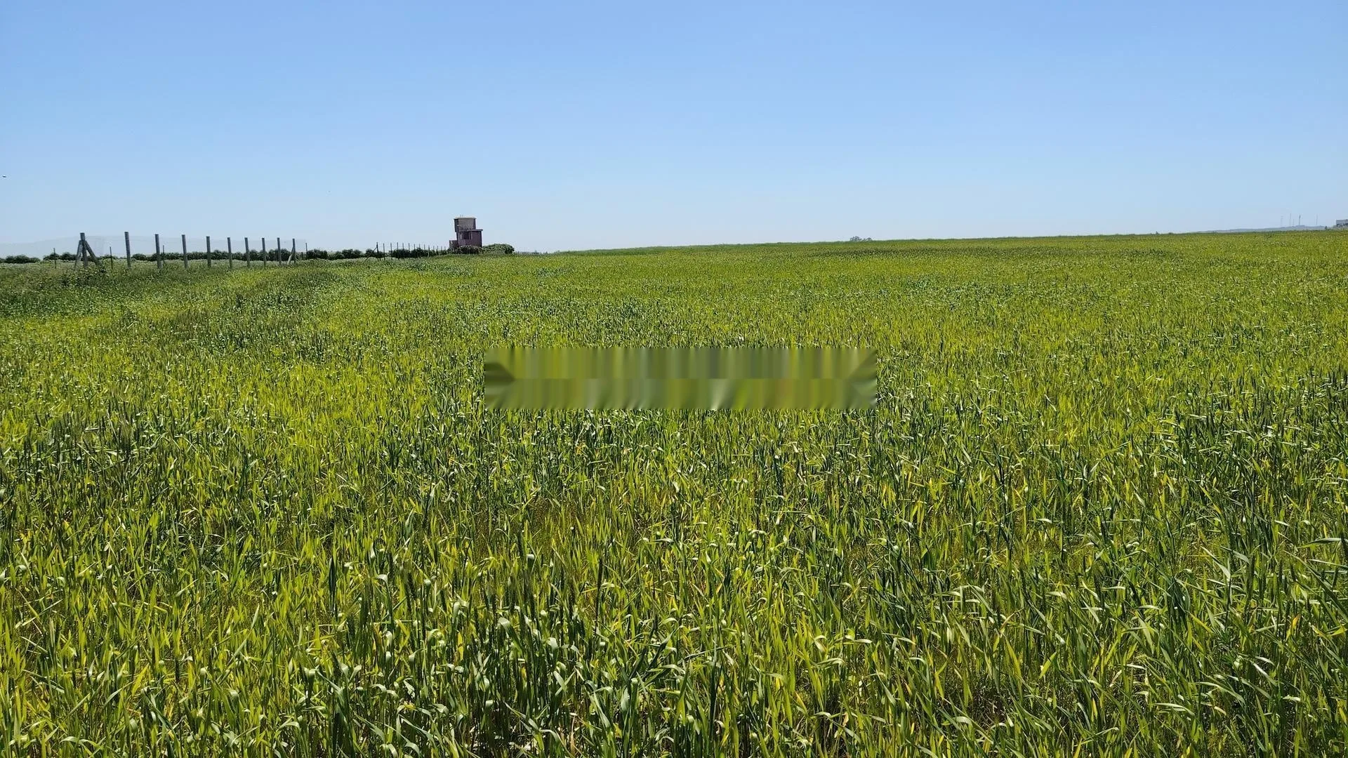 4 Hectares - Titre Foncier - 12 km Benslimane