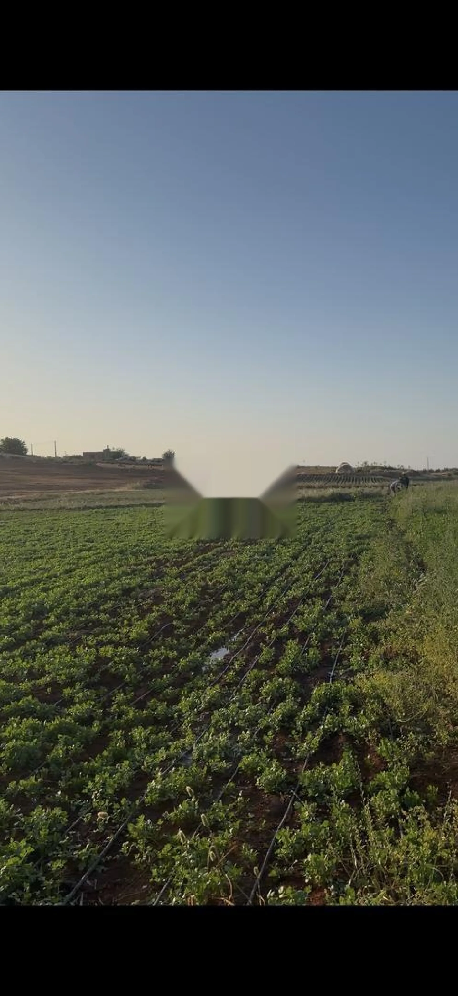 Terrain agricole titré 2.55 ha à vendre - El Hajeb