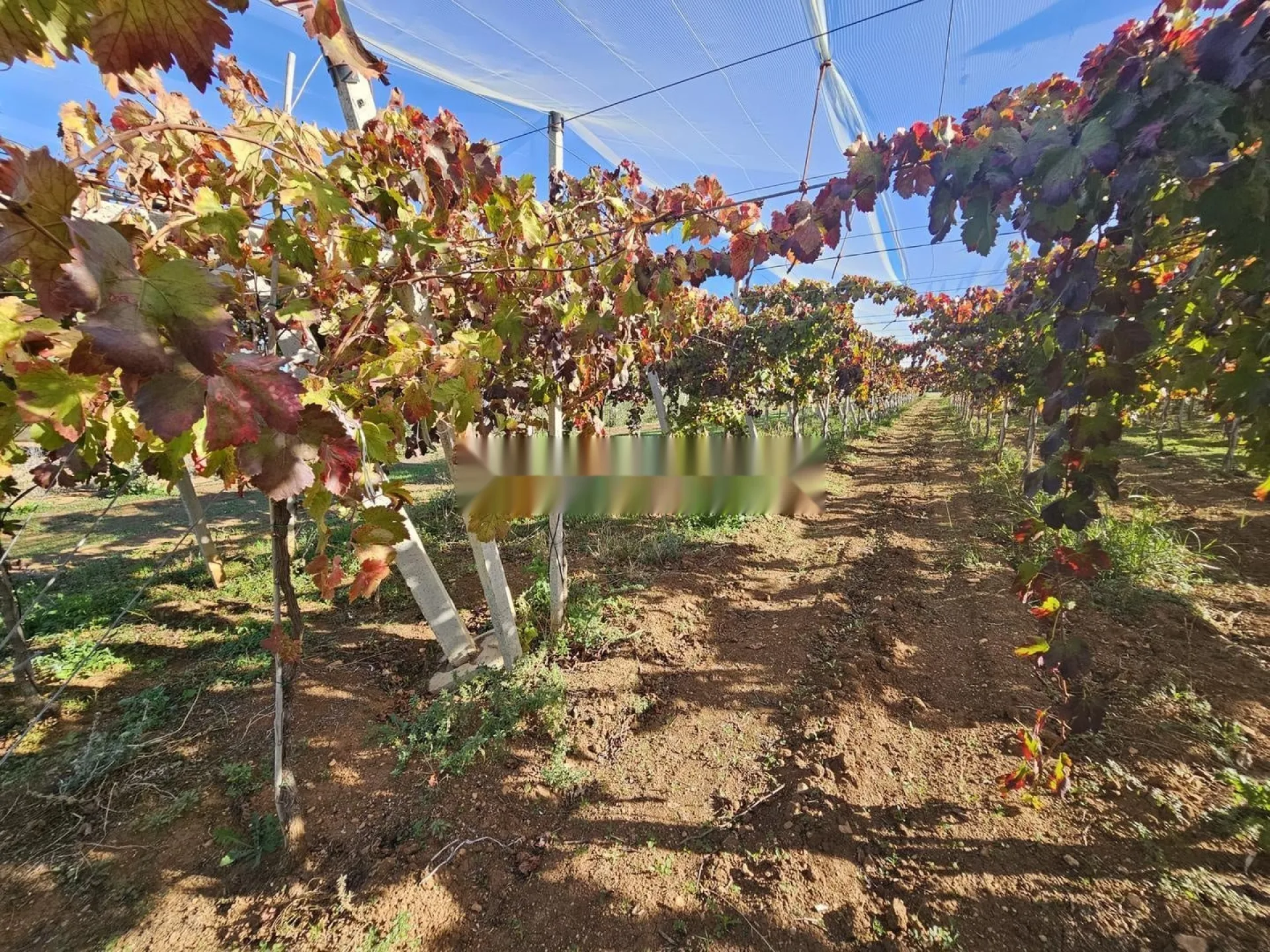 Ferme de luxe à vendre à Meknès - 6,5 Hectares