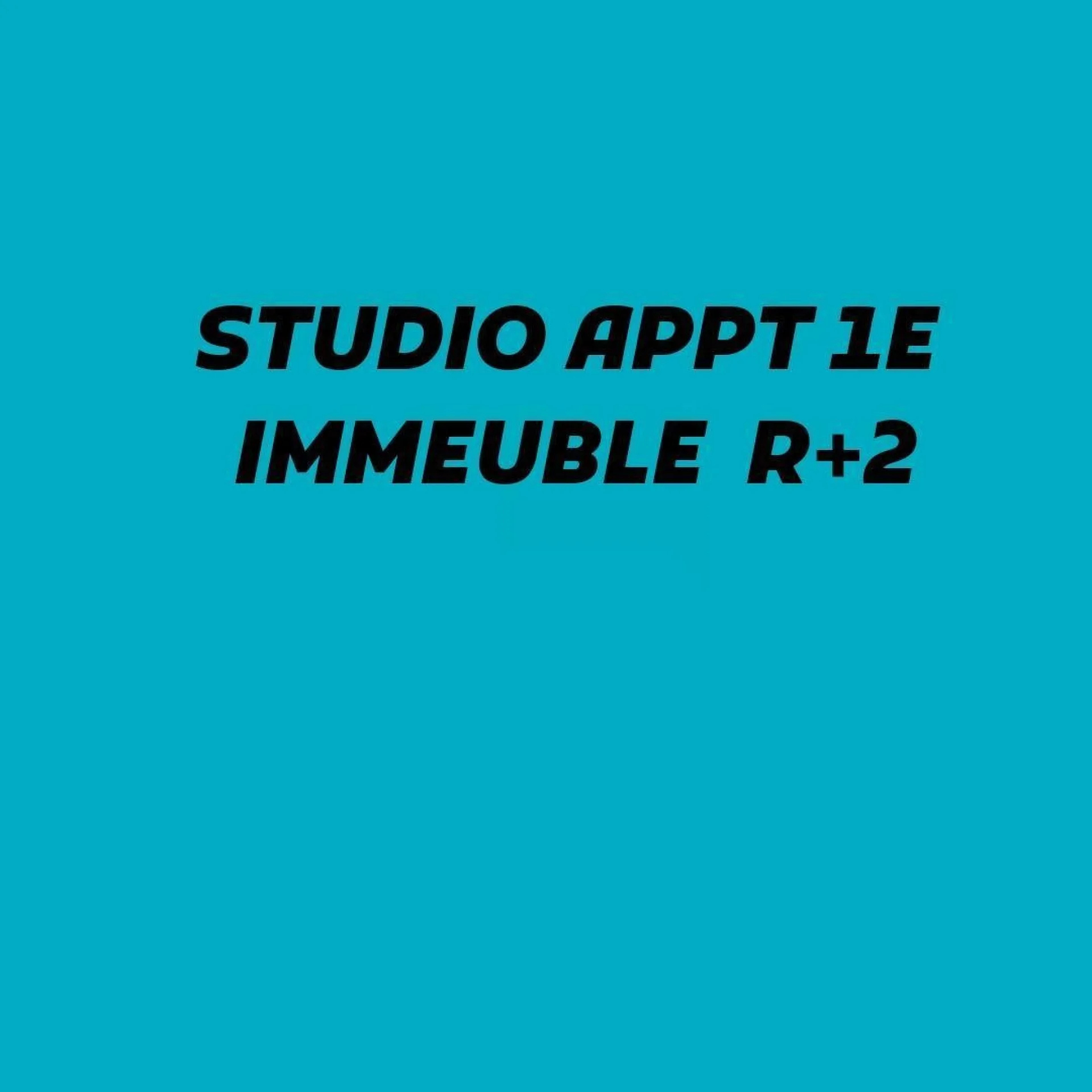 APPARTEMENT STUDIO 1ER ÉTAGE IMM R3