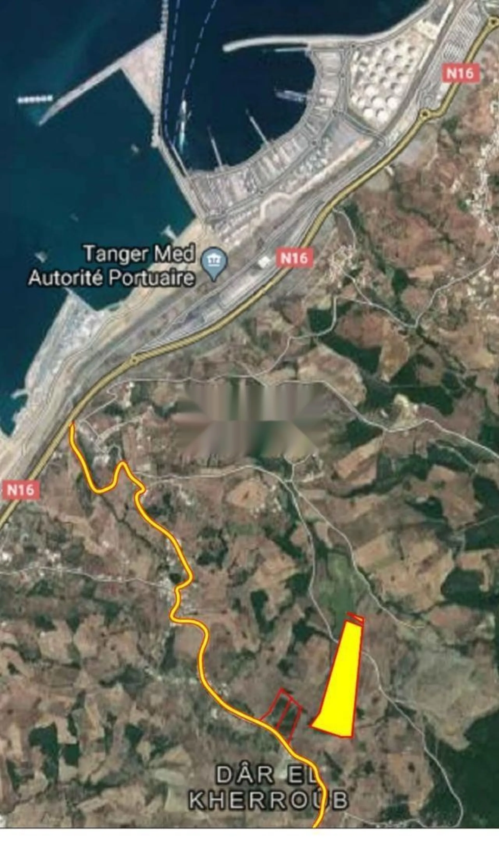 أرض فلاحية للبيع بمساحة 8000 متر مربع قرب ميناء طنجة المتوسط