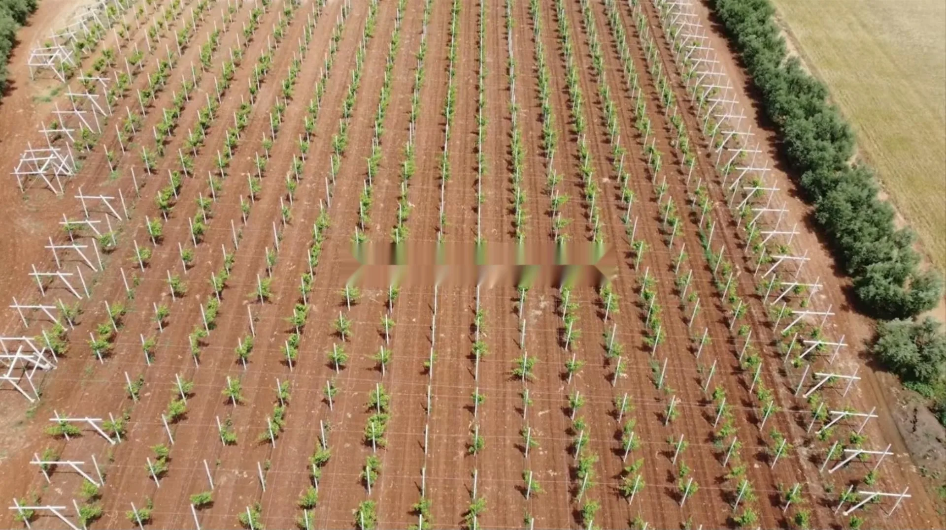 Ferme équipée Vignes avec maison région Meknes